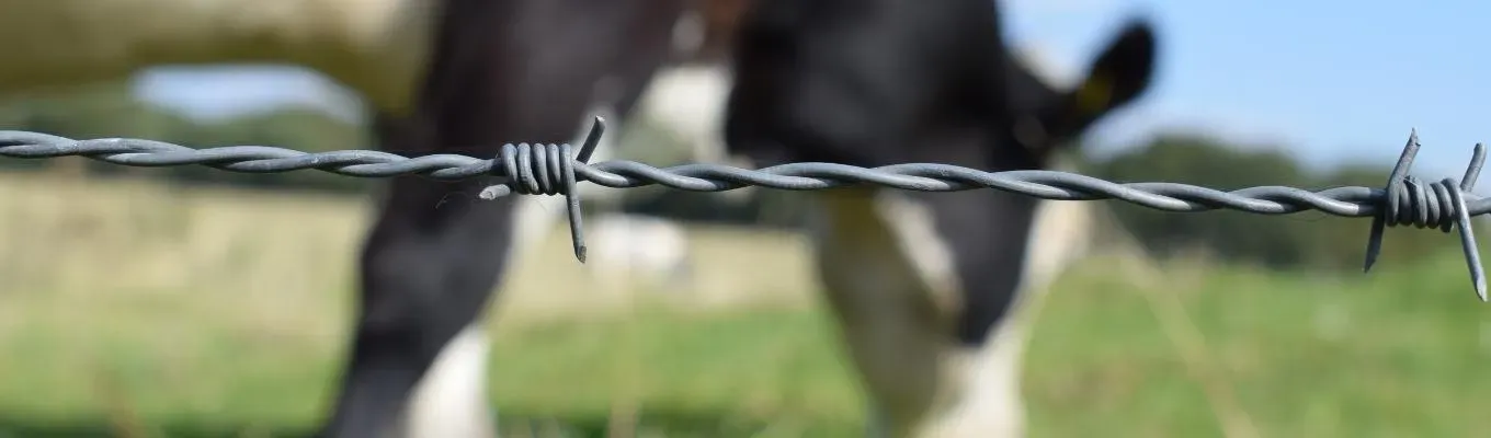 Tipos de Tela para Cerca