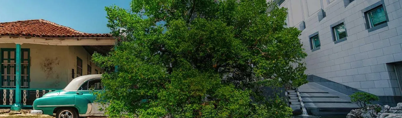 Entendendo as Declarações Ambientais de Produto (DAP) 