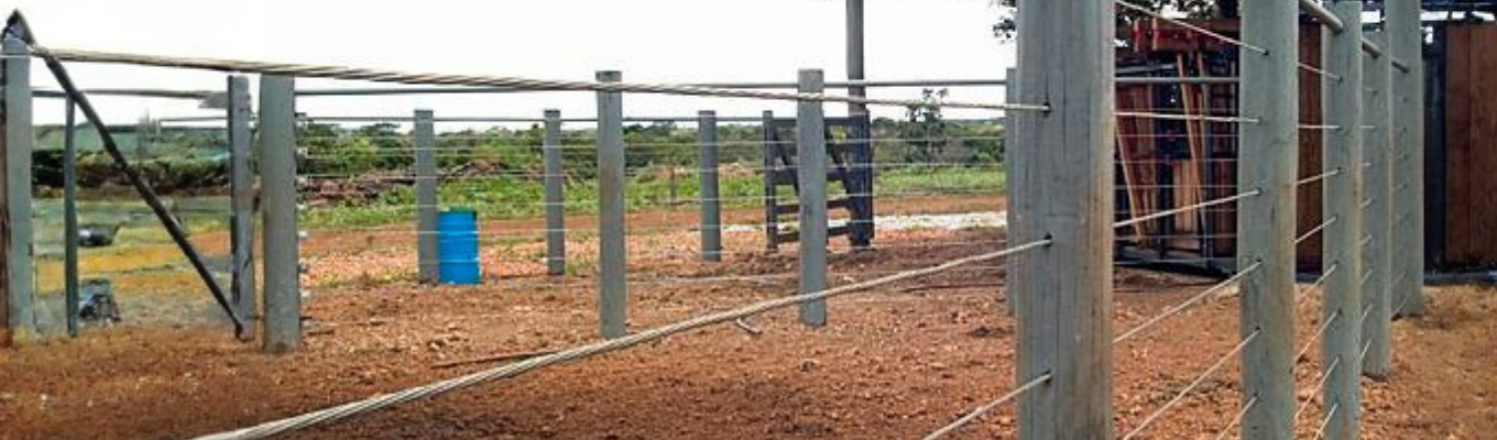 Cerca rural com postes e arames de aço utilizada para contenção e manejo de animais na pecuária.