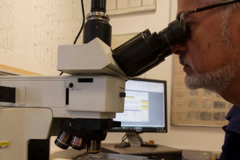 Engenheiro Metalúrgico