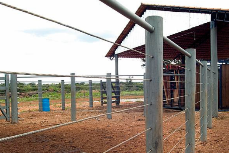 Cerca rural com postes e arames de aço utilizada para contenção e manejo de animais na pecuária.