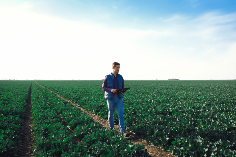 Produtor rural utilizando tablet para monitorar plantação em área agrícola.