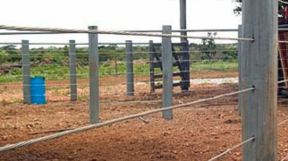 Cerca rural com postes e arames de aço utilizada para contenção e manejo de animais na pecuária.
