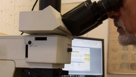 Engenheiro Metalúrgico