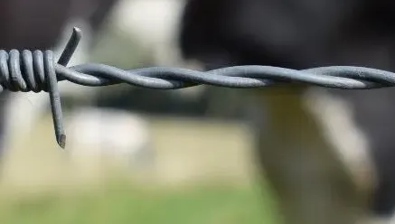 Tipos de Tela para Cerca