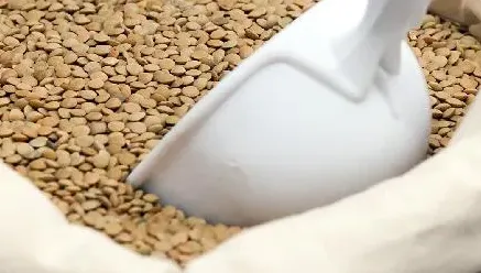 Foto de sacos de armazenamento de grãos diversos