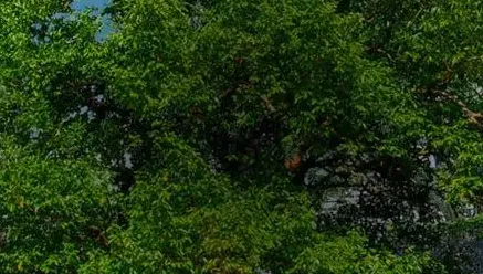 Entendendo as Declarações Ambientais de Produto (DAP) 